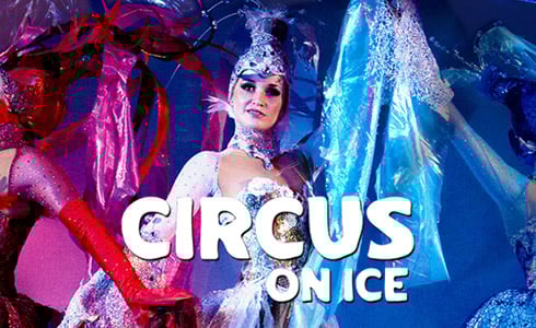 Regnumcarya Geceşovları 1 Card