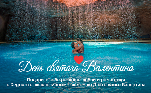 Card 490X300px RU DP