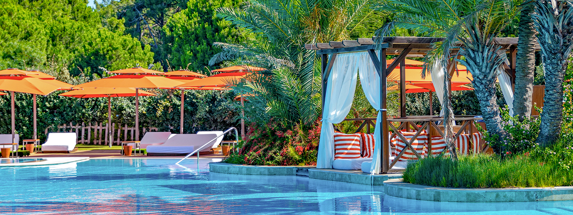 Regnumcarya Adult Pool 04 Banner