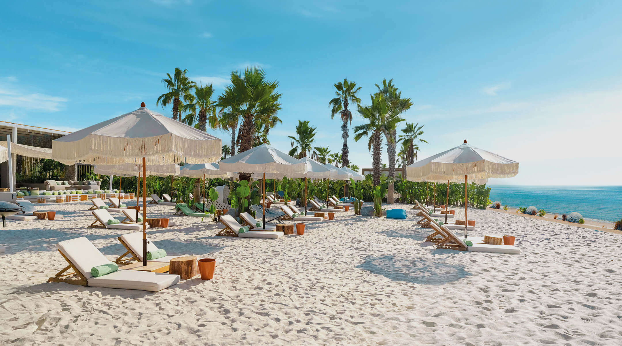 Alia Sahil Sıcak Renk REG25 Banner