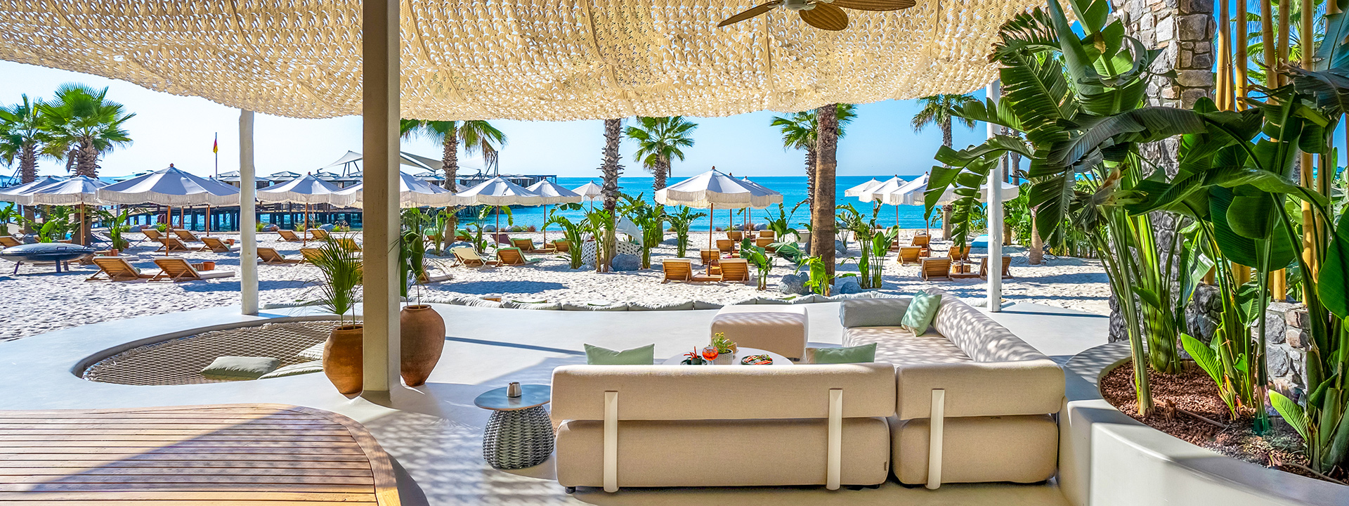 Regnumcarya Alia Banner